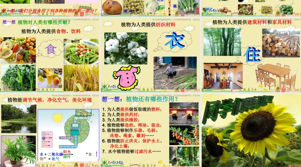 苏教小学科学三下《2.4.植物和我们》PPT课件 (1)【加微信公众号 jiaoxuewuyou 九折优惠qq 1119139686】.ppt
