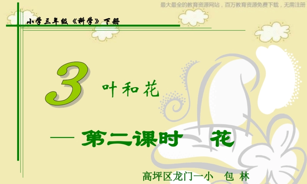 苏教小学科学三下《2.3．叶和花》PPT课件(5)【加微信公众号 jiaoxuewuyou 九折优惠qq 1119139686】.ppt