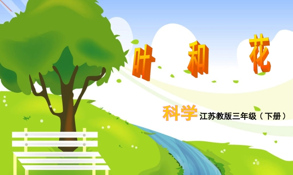 苏教小学科学三下《2.3．叶和花》PPT课件(8)【加微信公众号 jiaoxuewuyou 九折优惠qq 1119139686】.ppt