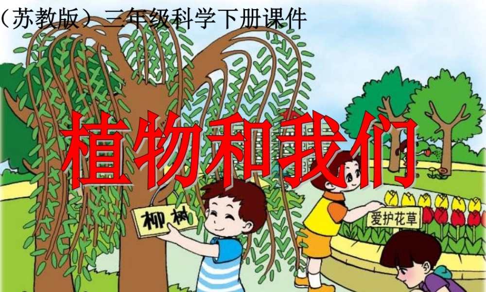 苏教小学科学三下《2.4.植物和我们》PPT课件 (2)【加微信公众号 jiaoxuewuyou 九折优惠qq 1119139686】.ppt