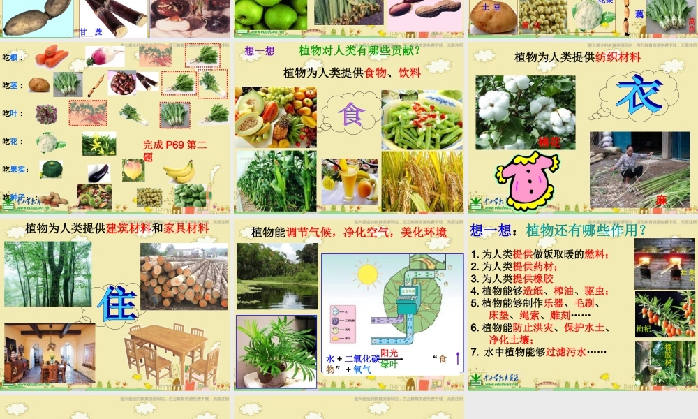 苏教小学科学三下《2.4.植物和我们》PPT课件 (2)【加微信公众号 jiaoxuewuyou 九折优惠qq 1119139686】.ppt
