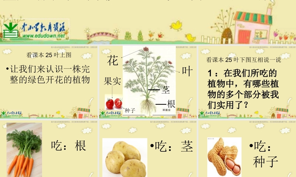 苏教小学科学三下《2.4.植物和我们》PPT课件 (3)【加微信公众号 jiaoxuewuyou 九折优惠qq 1119139686】.ppt