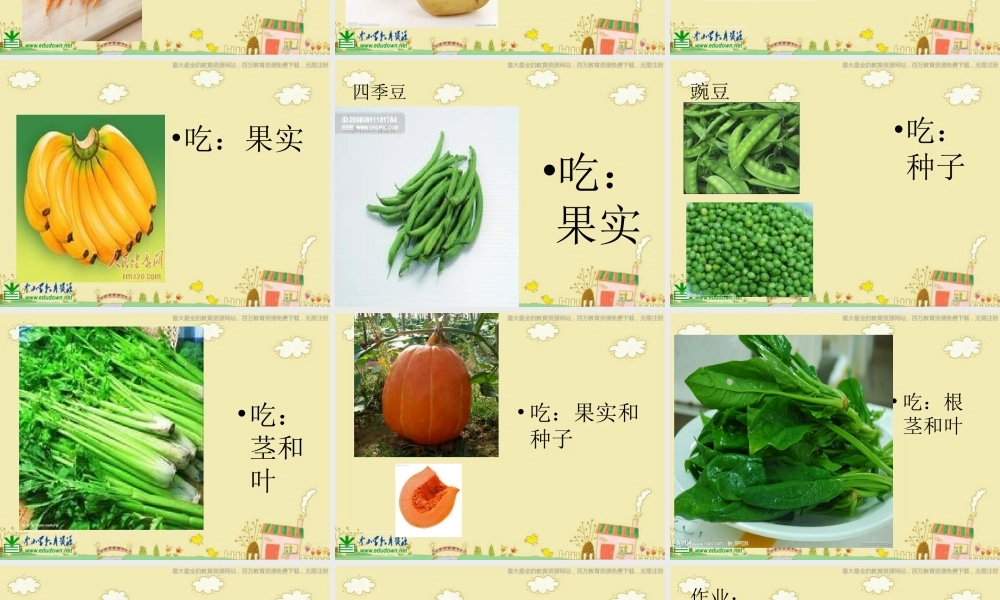 苏教小学科学三下《2.4.植物和我们》PPT课件 (3)【加微信公众号 jiaoxuewuyou 九折优惠qq 1119139686】.ppt