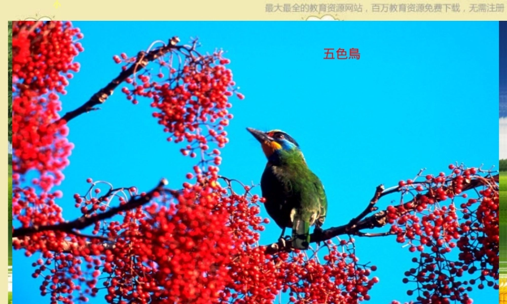 苏教小学科学三下《2.4.植物和我们》PPT课件 (4)【加微信公众号 jiaoxuewuyou 九折优惠qq 1119139686】.ppt