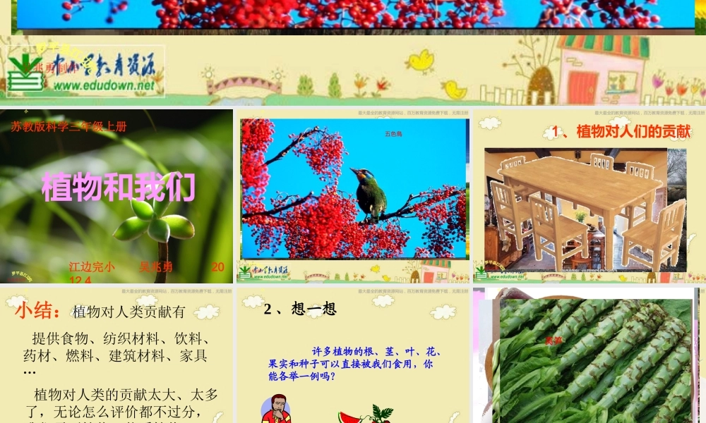 苏教小学科学三下《2.4.植物和我们》PPT课件 (4)【加微信公众号 jiaoxuewuyou 九折优惠qq 1119139686】.ppt