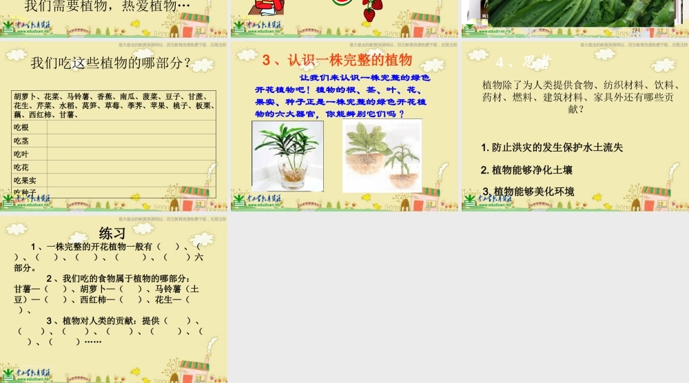 苏教小学科学三下《2.4.植物和我们》PPT课件 (4)【加微信公众号 jiaoxuewuyou 九折优惠qq 1119139686】.ppt