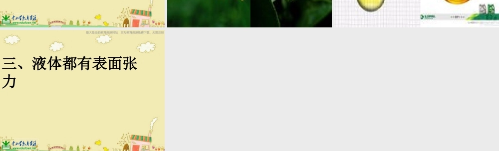 苏教小学科学三下《3.3．认识液体》PPT课件(1)【加微信公众号 jiaoxuewuyou 九折优惠qq 1119139686】.ppt