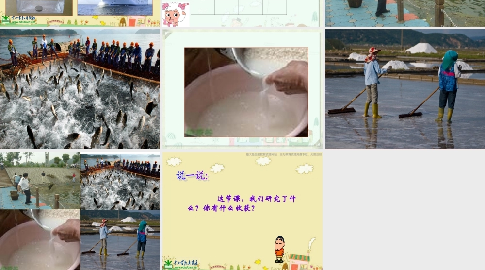 苏教小学科学三下《3.2．把固体放到水里》PPT课件(9)【加微信公众号 jiaoxuewuyou 九折优惠qq 1119139686】.ppt