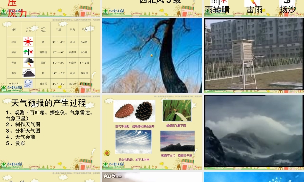 苏教小学科学三下《4.1.今天天气怎么样》PPT课件 (5)【加微信公众号 jiaoxuewuyou 九折优惠qq 1119139686】.ppt