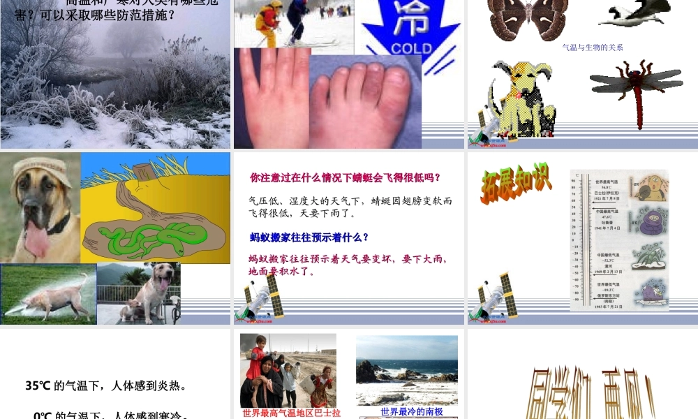 苏教小学科学三下《4.2.气温有多高》PPT课件 (1)【加微信公众号 jiaoxuewuyou 九折优惠qq 1119139686】.ppt