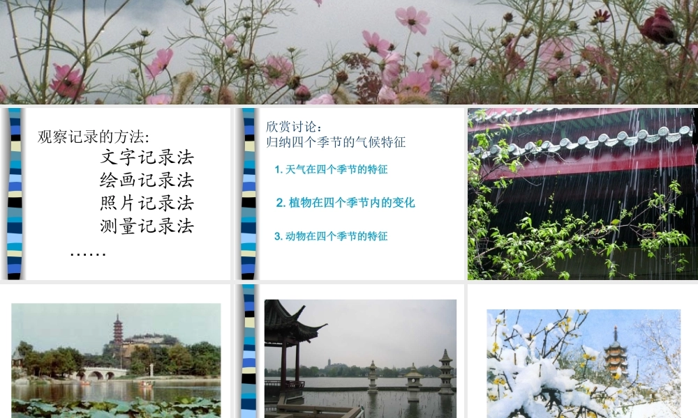 苏教小学科学三下《4.5.气候与季节》PPT课件【加微信公众号 jiaoxuewuyou 九折优惠qq 1119139686】.ppt