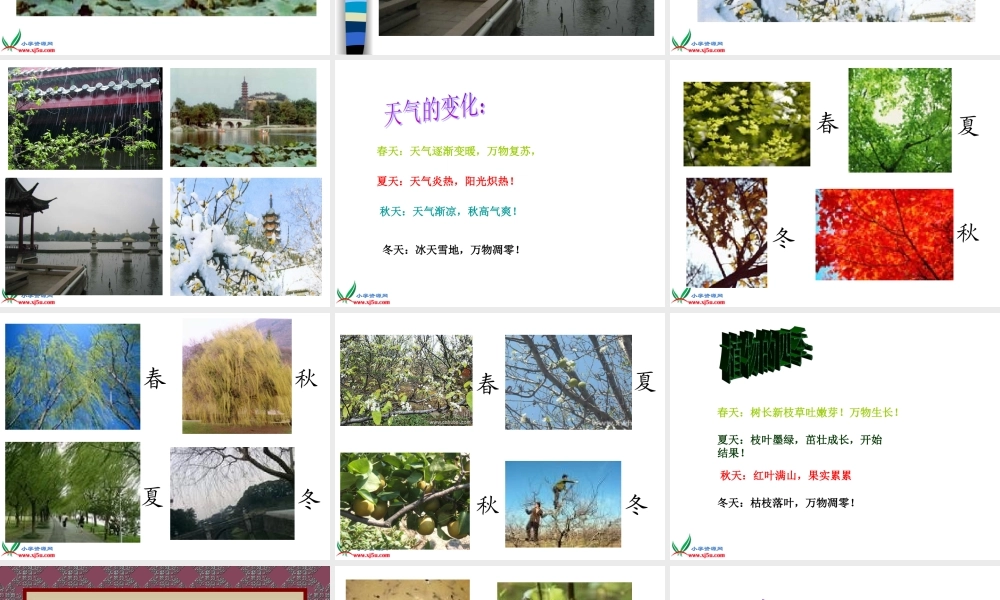 苏教小学科学三下《4.5.气候与季节》PPT课件【加微信公众号 jiaoxuewuyou 九折优惠qq 1119139686】.ppt
