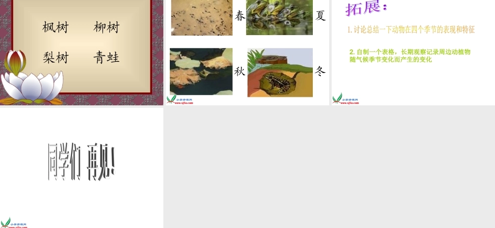 苏教小学科学三下《4.5.气候与季节》PPT课件【加微信公众号 jiaoxuewuyou 九折优惠qq 1119139686】.ppt
