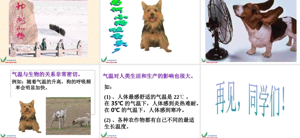 苏教小学科学三下《4.2.气温有多高》PPT课件 (2)【加微信公众号 jiaoxuewuyou 九折优惠qq 1119139686】.ppt