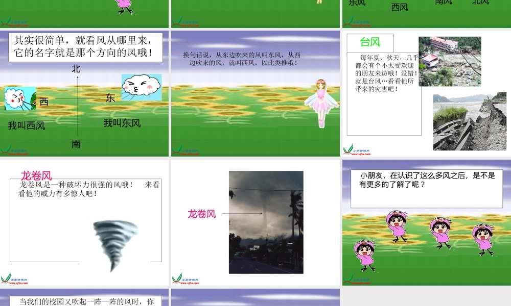 苏教小学科学三下《4.4.今天刮什么风》PPT课件【加微信公众号 jiaoxuewuyou 九折优惠qq 1119139686】.ppt