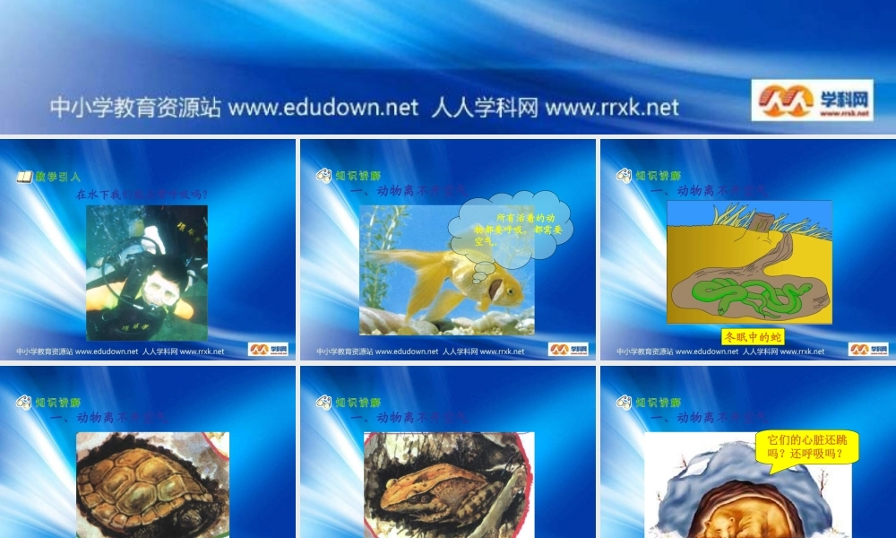 苏教小学科学四上《1.4．空气也是生命之源》PPT课件(2)【加微信公众号 jiaoxuewuyou 九折优惠qq 1119139686】.ppt