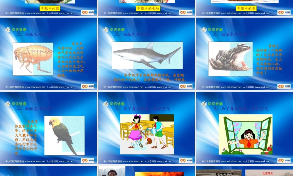 苏教小学科学四上《1.4．空气也是生命之源》PPT课件(2)【加微信公众号 jiaoxuewuyou 九折优惠qq 1119139686】.ppt