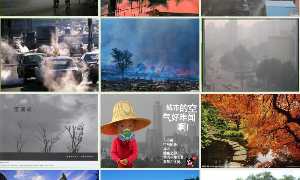 苏教小学科学四上《1.4．空气也是生命之源》PPT课件(12)【加微信公众号 jiaoxuewuyou 九折优惠qq 1119139686】.ppt