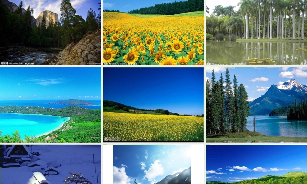 苏教小学科学四上《1.4．空气也是生命之源》PPT课件(12)【加微信公众号 jiaoxuewuyou 九折优惠qq 1119139686】.ppt