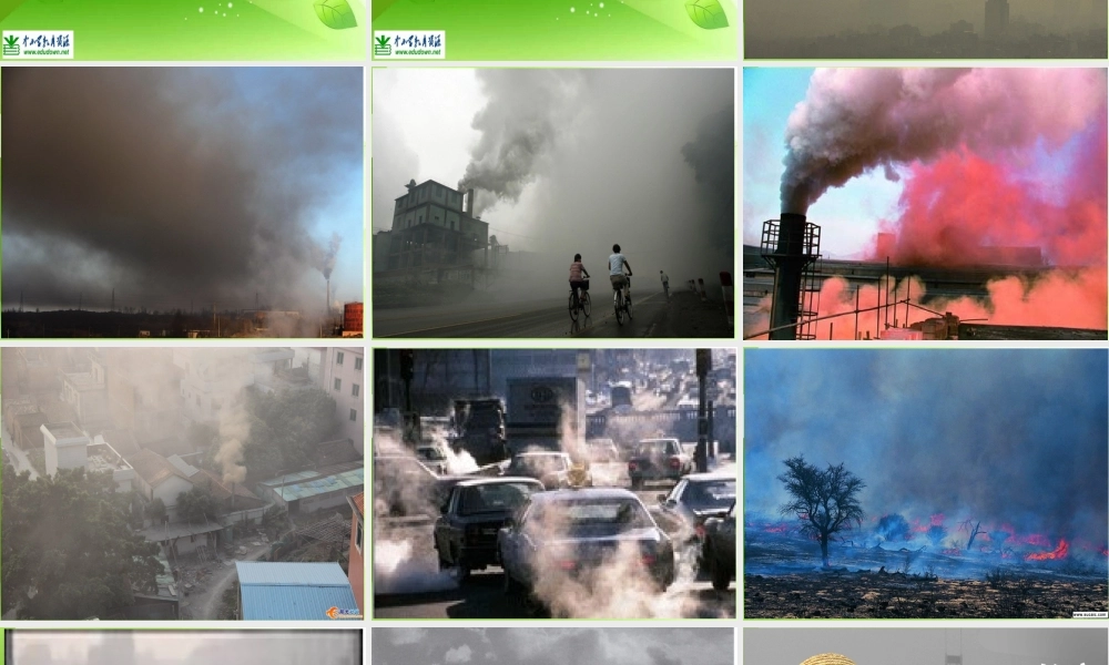 苏教小学科学四上《1.4．空气也是生命之源》PPT课件(11)【加微信公众号 jiaoxuewuyou 九折优惠qq 1119139686】.ppt