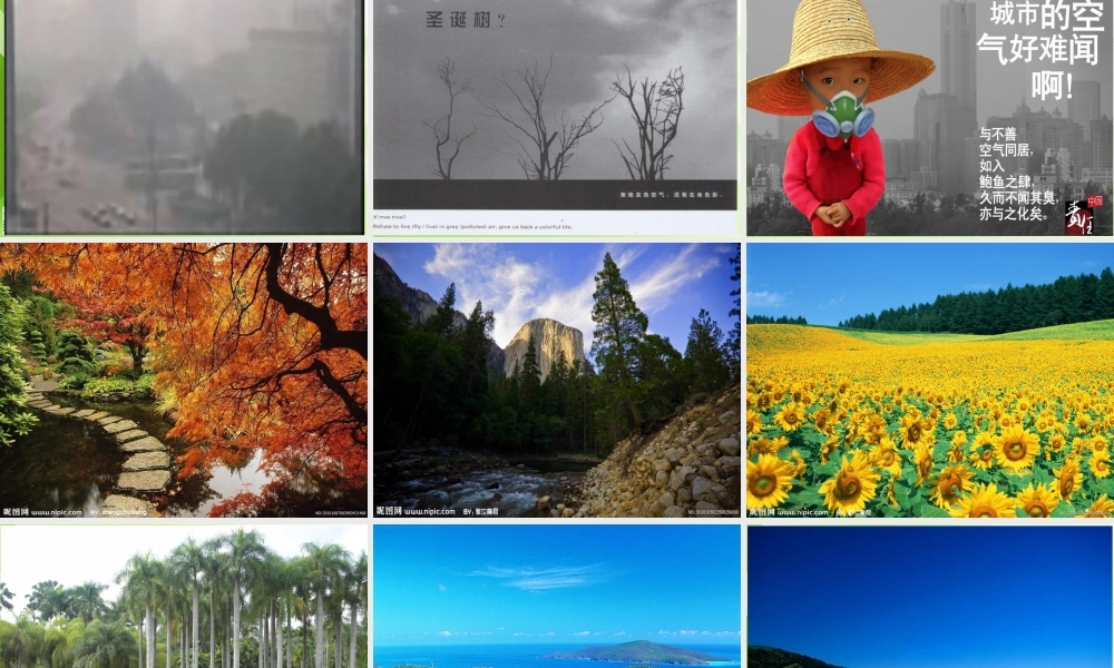 苏教小学科学四上《1.4．空气也是生命之源》PPT课件(11)【加微信公众号 jiaoxuewuyou 九折优惠qq 1119139686】.ppt