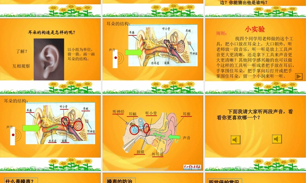 苏教小学科学四上《3.3．我们怎样听到声音的》PPT课件(6)【加微信公众号 jiaoxuewuyou 九折优惠qq 1119139686】.ppt