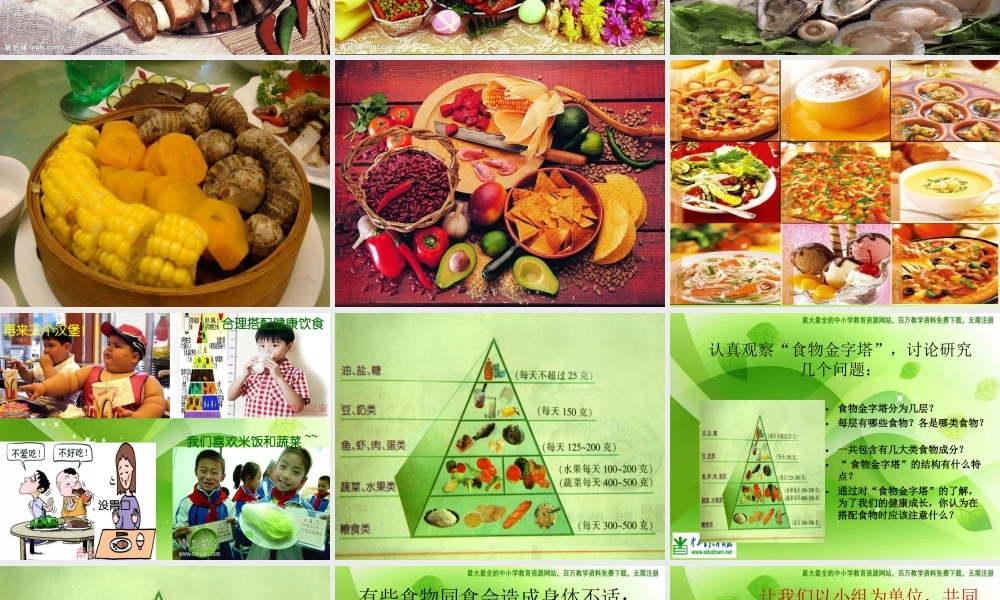 苏教小学科学四上《4.2．怎样搭配食物》PPT课件(5)【加微信公众号 jiaoxuewuyou 九折优惠qq 1119139686】.ppt