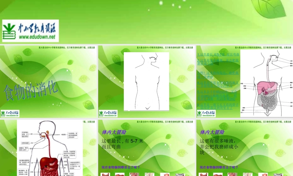 苏教小学科学四上《4.3．食物的消化》PPT课件(4)【加微信公众号 jiaoxuewuyou 九折优惠qq 1119139686】.ppt