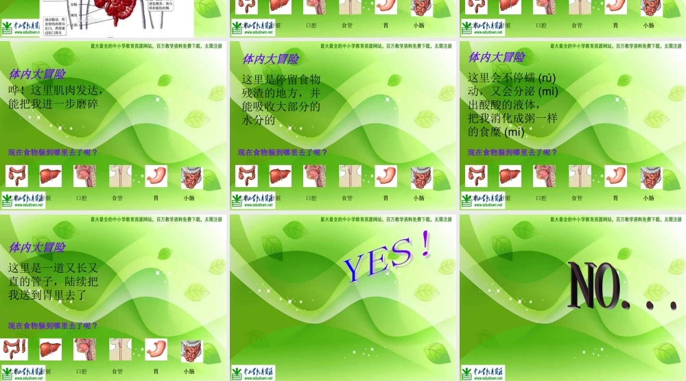 苏教小学科学四上《4.3．食物的消化》PPT课件(4)【加微信公众号 jiaoxuewuyou 九折优惠qq 1119139686】.ppt