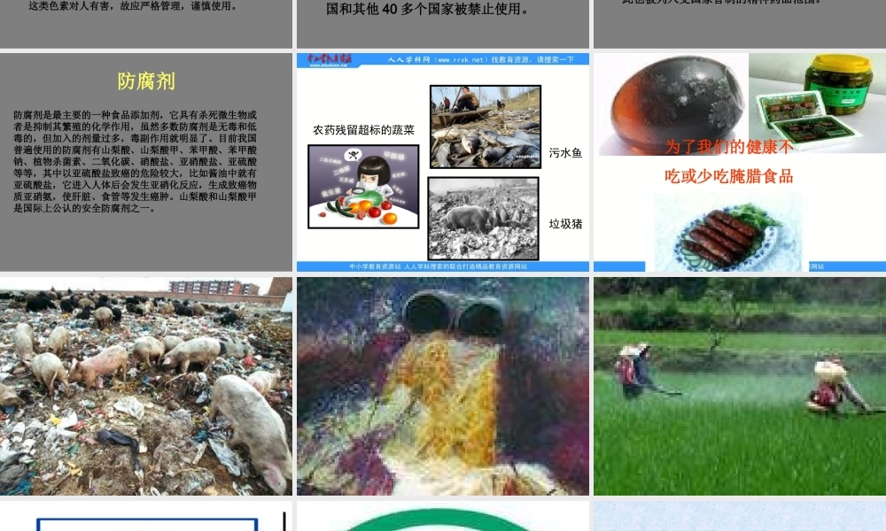 苏教小学科学四上《4.4．我们的食物安全吗》PPT课件(1)【加微信公众号 jiaoxuewuyou 九折优惠qq 1119139686】.ppt