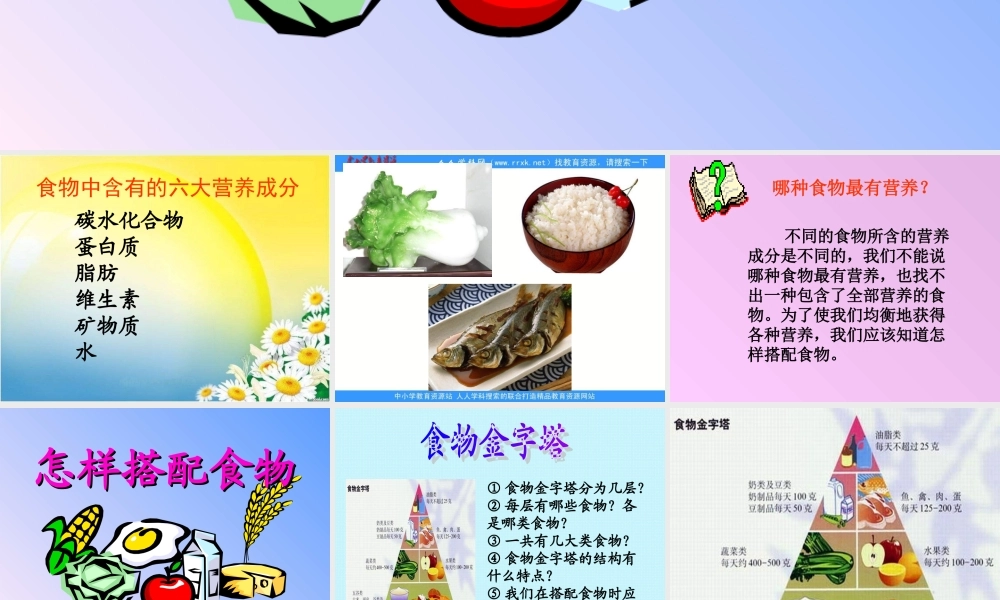 苏教小学科学四上《4.2．怎样搭配食物》PPT课件(1)【加微信公众号 jiaoxuewuyou 九折优惠qq 1119139686】.ppt