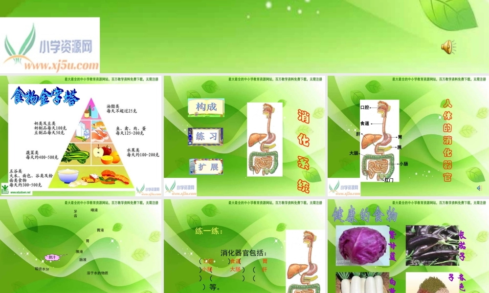 苏教小学科学四上《4.3．食物的消化》PPT课件(3)【加微信公众号 jiaoxuewuyou 九折优惠qq 1119139686】.ppt