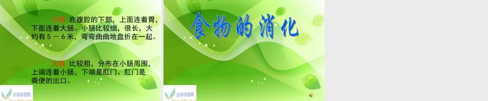 苏教小学科学四上《4.3．食物的消化》PPT课件(3)【加微信公众号 jiaoxuewuyou 九折优惠qq 1119139686】.ppt