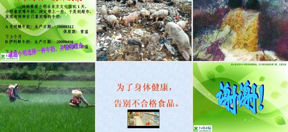 苏教小学科学四上《4.4．我们的食物安全吗》PPT课件(2)【加微信公众号 jiaoxuewuyou 九折优惠qq 1119139686】.ppt