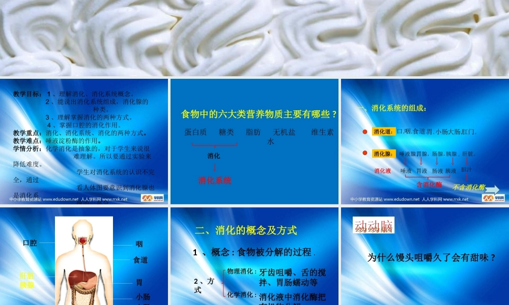 苏教小学科学四上《4.3．食物的消化》PPT课件(2)【加微信公众号 jiaoxuewuyou 九折优惠qq 1119139686】.ppt