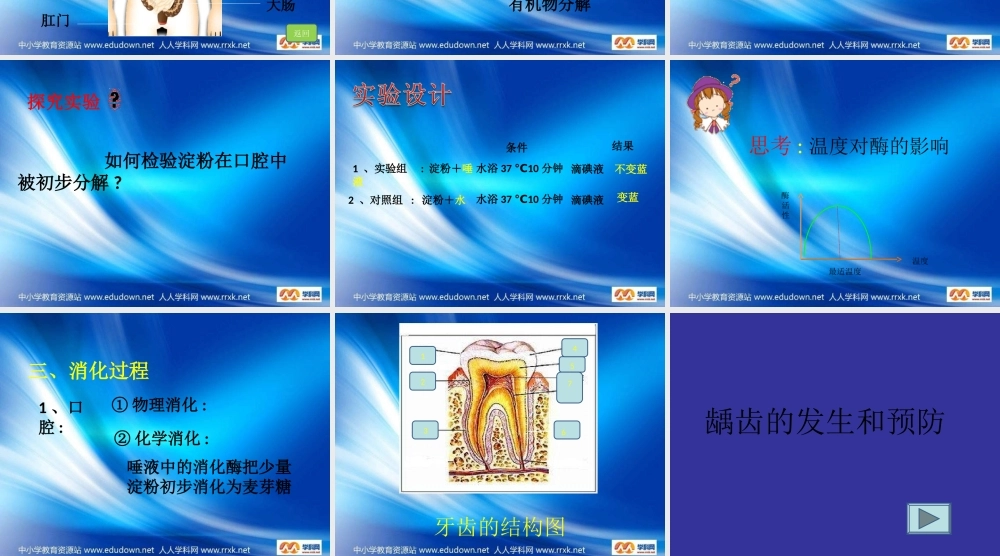 苏教小学科学四上《4.3．食物的消化》PPT课件(2)【加微信公众号 jiaoxuewuyou 九折优惠qq 1119139686】.ppt