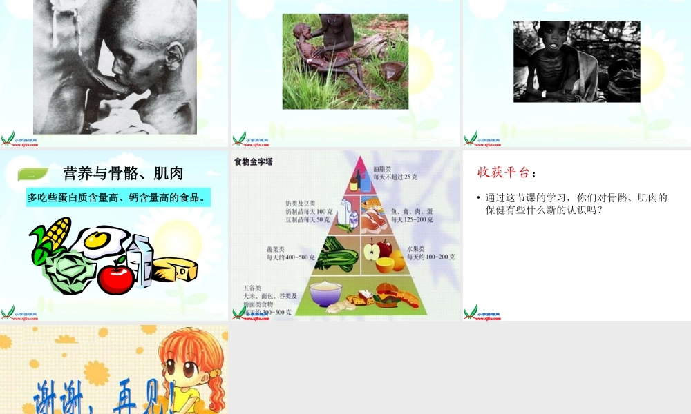 苏教小学科学四下《1.4骨骼、肌肉和保健》PPT课件(1)【加微信公众号 jiaoxuewuyou 九折优惠qq 1119139686】.ppt