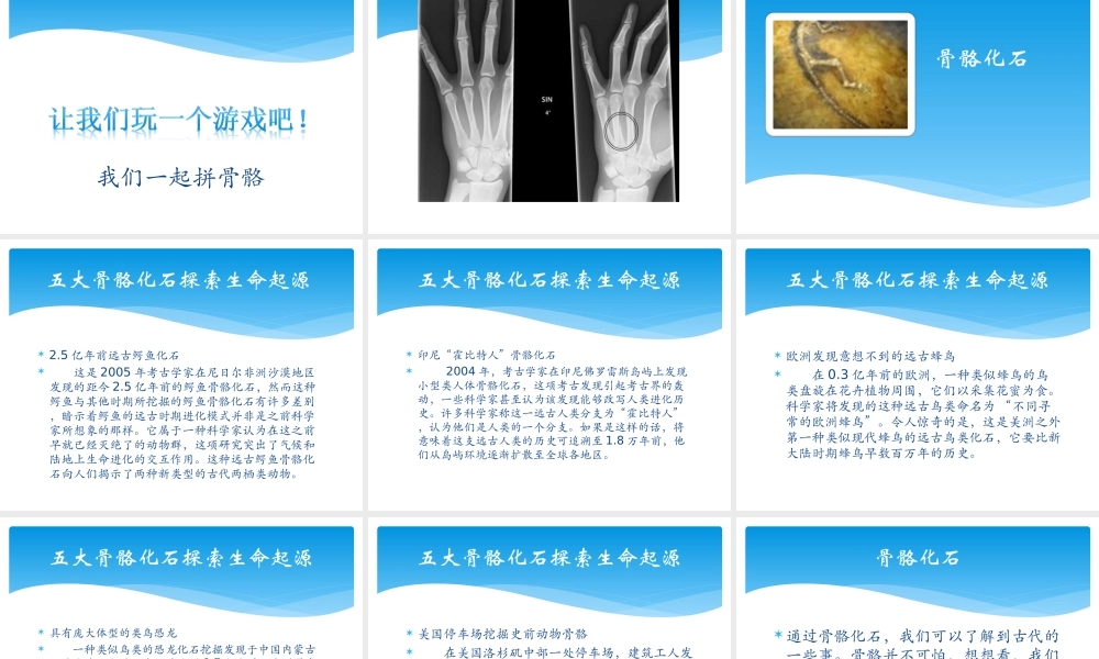 苏教小学科学四下《1.1骨骼》PPT课件(1)【加微信公众号 jiaoxuewuyou 九折优惠qq 1119139686】.ppt