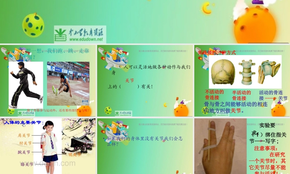 苏教小学科学四下《1.2关节》PPT课件(5)【加微信公众号 jiaoxuewuyou 九折优惠qq 1119139686】.ppt