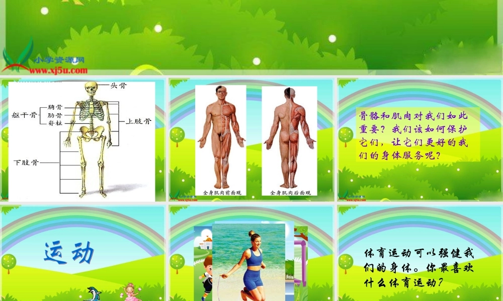 苏教小学科学四下《1.4骨骼、肌肉和保健》PPT课件(3)【加微信公众号 jiaoxuewuyou 九折优惠qq 1119139686】.ppt