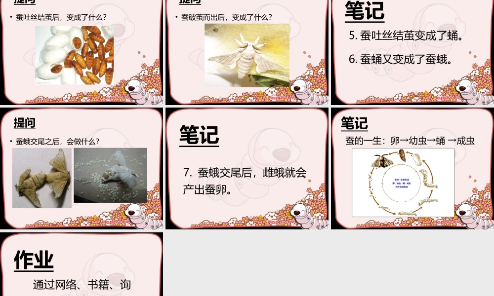 苏教小学科学四下《2.1．我们来养蚕》PPT课件(7)【加微信公众号 jiaoxuewuyou 九折优惠qq 1119139686】.ppt