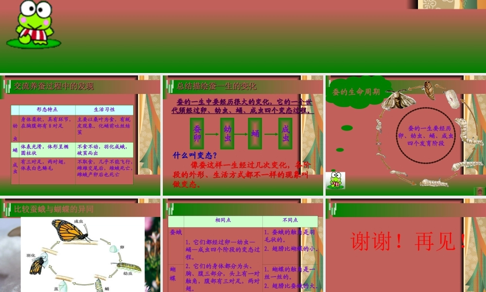 苏教小学科学四下《2.1．我们来养蚕》PPT课件(3)【加微信公众号 jiaoxuewuyou 九折优惠qq 1119139686】.ppt