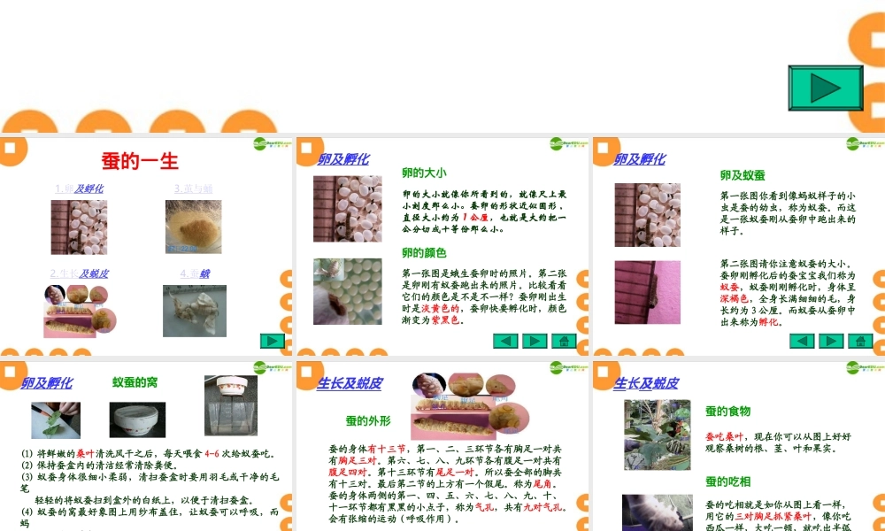 苏教小学科学四下《2.2．给蚕宝宝记日记》PPT课件(1)【加微信公众号 jiaoxuewuyou 九折优惠qq 1119139686】.ppt