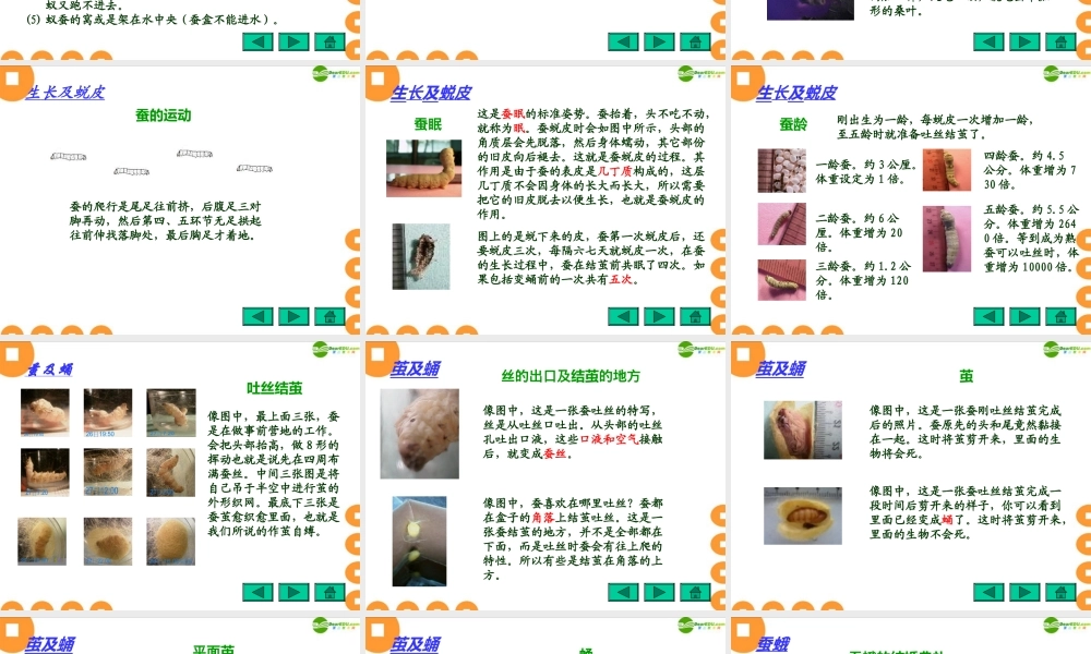 苏教小学科学四下《2.2．给蚕宝宝记日记》PPT课件(1)【加微信公众号 jiaoxuewuyou 九折优惠qq 1119139686】.ppt