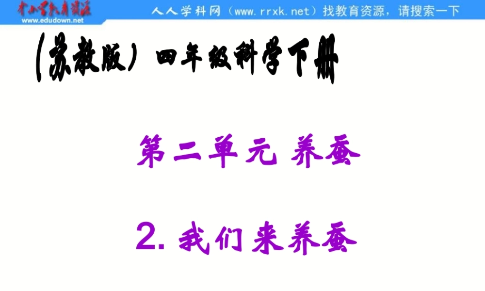苏教小学科学四下《2.1．我们来养蚕》PPT课件(5)【加微信公众号 jiaoxuewuyou 九折优惠qq 1119139686】.ppt
