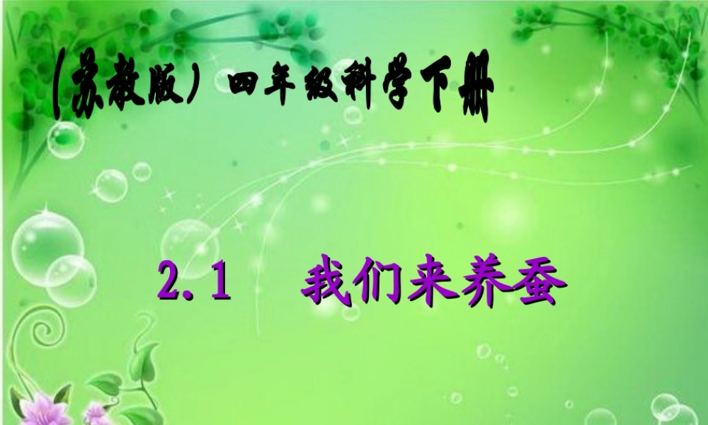 苏教小学科学四下《2.1．我们来养蚕》PPT课件(8)【加微信公众号 jiaoxuewuyou 九折优惠qq 1119139686】.ppt