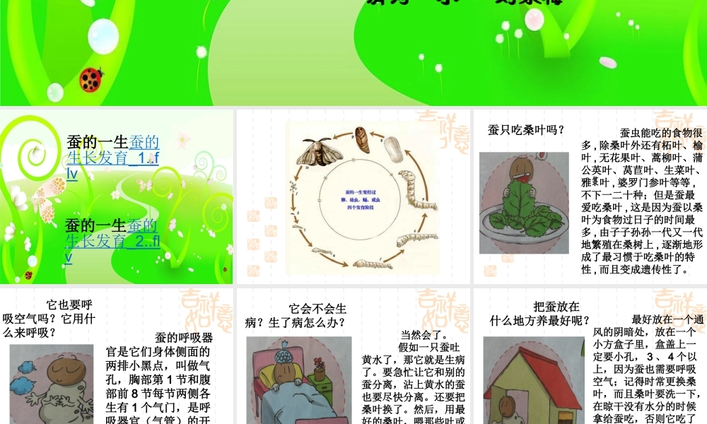 苏教小学科学四下《2.1．我们来养蚕》PPT课件(1)【加微信公众号 jiaoxuewuyou 九折优惠qq 1119139686】.ppt