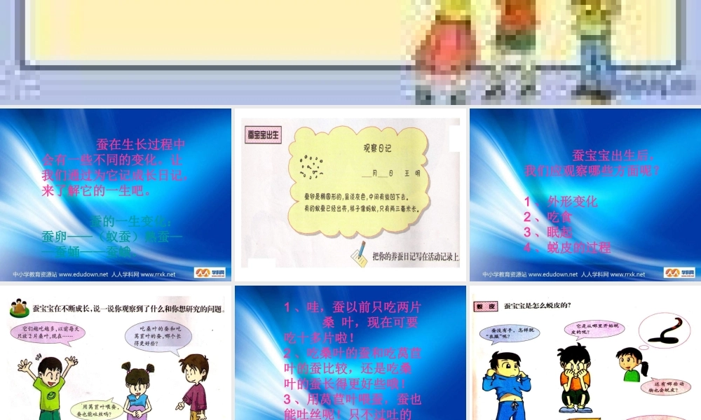 苏教小学科学四下《2.2．给蚕宝宝记日记》PPT课件(2)【加微信公众号 jiaoxuewuyou 九折优惠qq 1119139686】.ppt