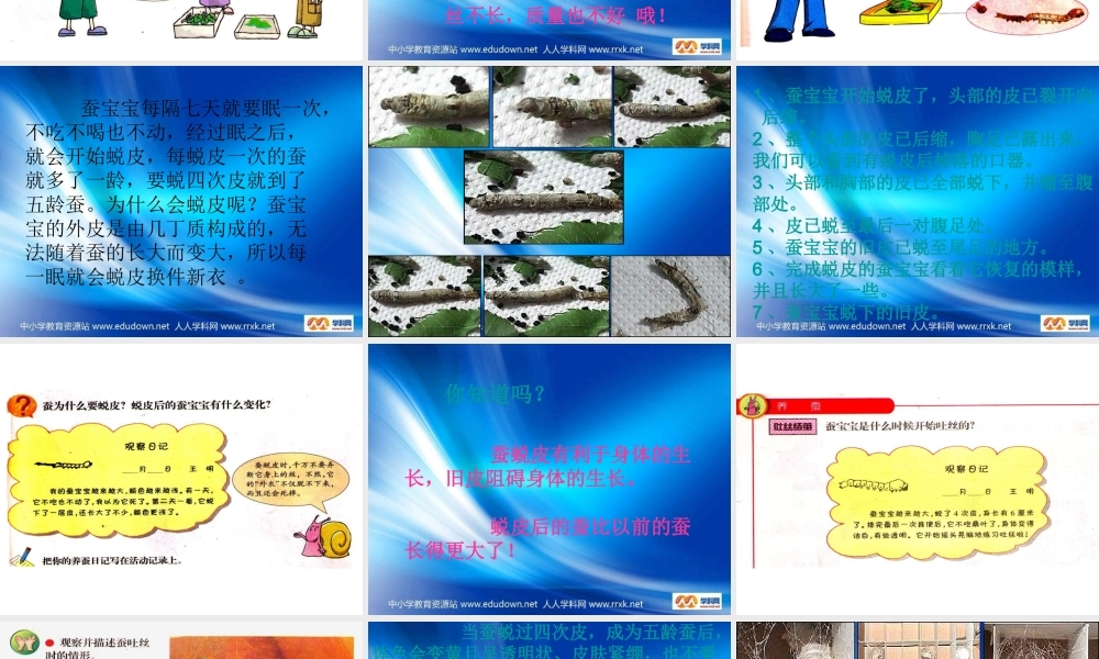 苏教小学科学四下《2.2．给蚕宝宝记日记》PPT课件(2)【加微信公众号 jiaoxuewuyou 九折优惠qq 1119139686】.ppt