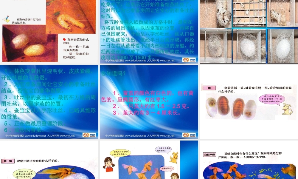 苏教小学科学四下《2.2．给蚕宝宝记日记》PPT课件(2)【加微信公众号 jiaoxuewuyou 九折优惠qq 1119139686】.ppt